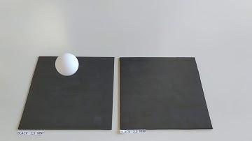 Spinlab Black Sponges