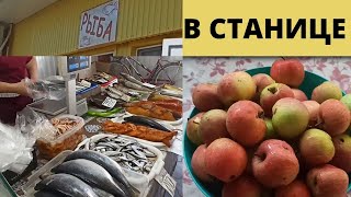 видео: На велике до центра // Цены на рыбу в станице //Про кубаноидов картинка: На велике до центра // Цены на рыбу в станице //Про кубаноидов