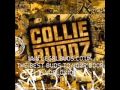 B-E-R-M-U-D-A - Collie Buddz - On The Rocks - 2009
