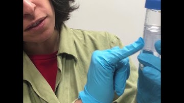 Researchers at KTH monitor sewage for coronavirus outbreaks