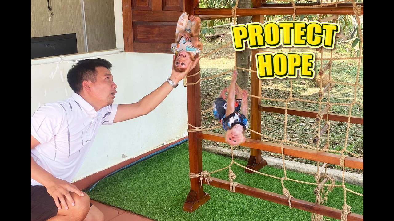 Dad Hung and Jobi are always by Hope's side to protect and care for her.