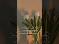 إنه من يتق و يصبر فإن الله لا يضيع أجر المحسنين القارئ المنشاوي