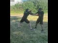 boxing sparring rounds, amateur boxer Big Ev. vs Muay thai fighter Jose🥸🥊#boxing#sparring