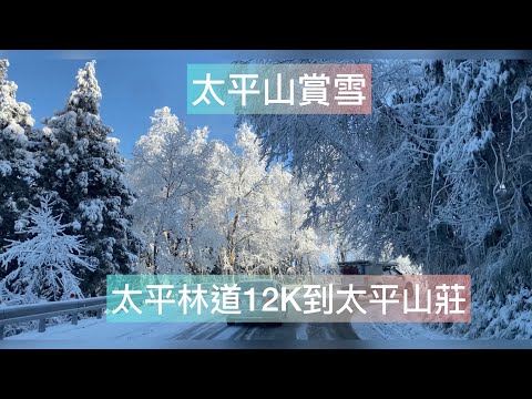 2021太平山雪景 太平林道12k～太平山莊，愈後面愈漂亮，最後出大景