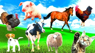 Farm animals. Pig, horse, chicken, cow, dog, sheep, cat, goat - Animal Sounds - Animal Videos Part 5