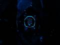 вљЎ Bass Boosted EMPIRE Slowed Phonk You Can Feel In Your Bones рџ Љ вљЎ Bass Boosted EMPIRE Slowed Phonk You Can Feel In Your Bones рџ Љ