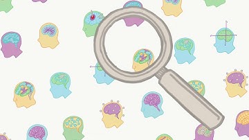 TVB on EBRAINS: The Virtual Brain integrated workflows on EBRAINS (Long Version)