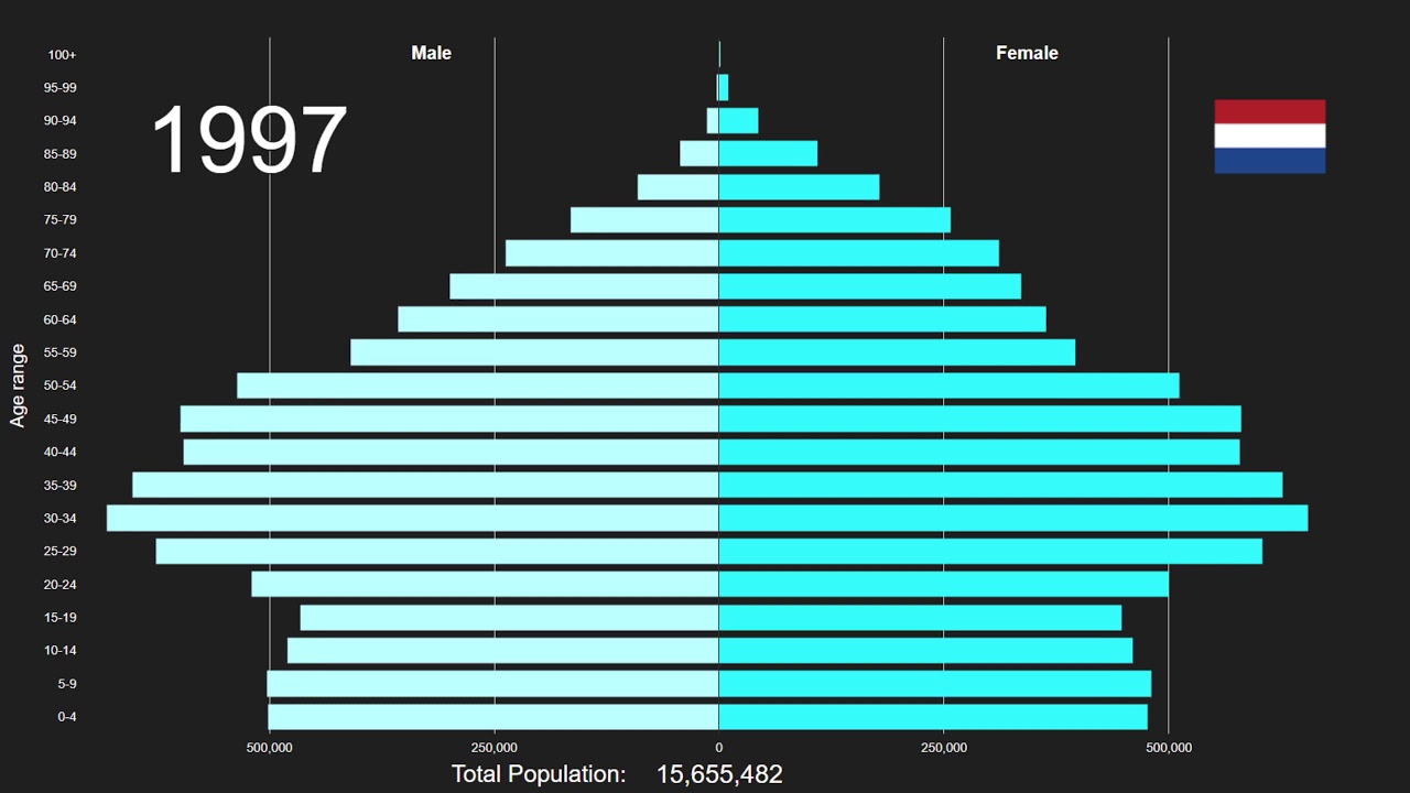 Netherlands Population Pyramid 19502100 YouTube