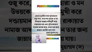 এসো ইসলামের পথে।islamicvideoyoutubeshortsislamic islamicstatusgojolinformation