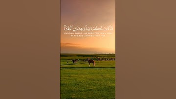#قرآن #istagfar #quran #yasseraldossary #قران_كريم #duet #تلاوة_خاشعة #دويتو #اكسبلور #حالات_واتس