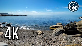 Gentle morning sea with birdsong for relaxation and stress relief