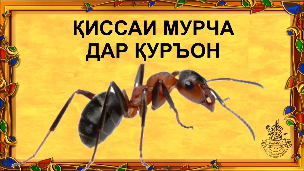 Inna Hotning yalangoch fotosurati