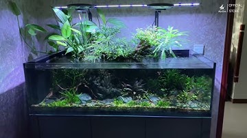 Đèn Zetlight UFO F8 PRO Là Lựa Chọn Hàng Đầu Cho Bể Cá Cảnh #denbeca #zetlight #cacanh