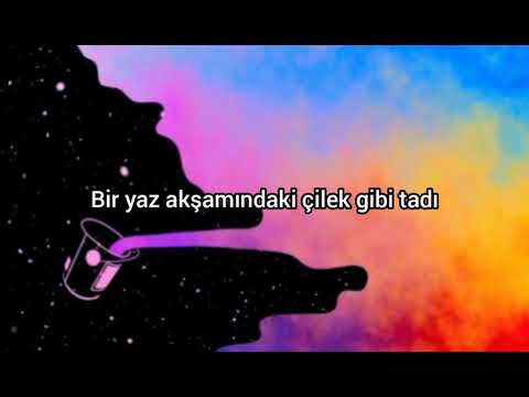 Harry styles - watermelon sugar Türkçe Çeviri