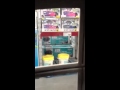 Sam's Club Shed!! Sam's Club Shed!!