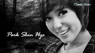 Park Shin Hye - If These Walls Could Speak