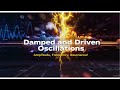 Damped And Driven Oscillations Song Educational Pop Hip Hop Rap mp3