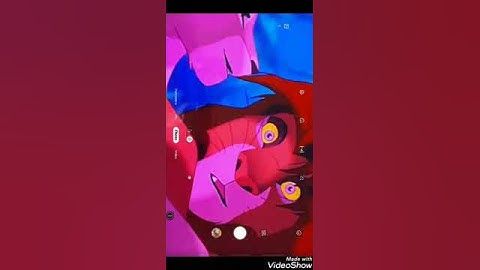 Animash Brother So Say