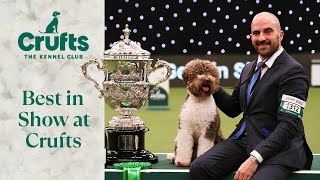 The Best of the Best  Our Best in Show Winners from Crufts Past