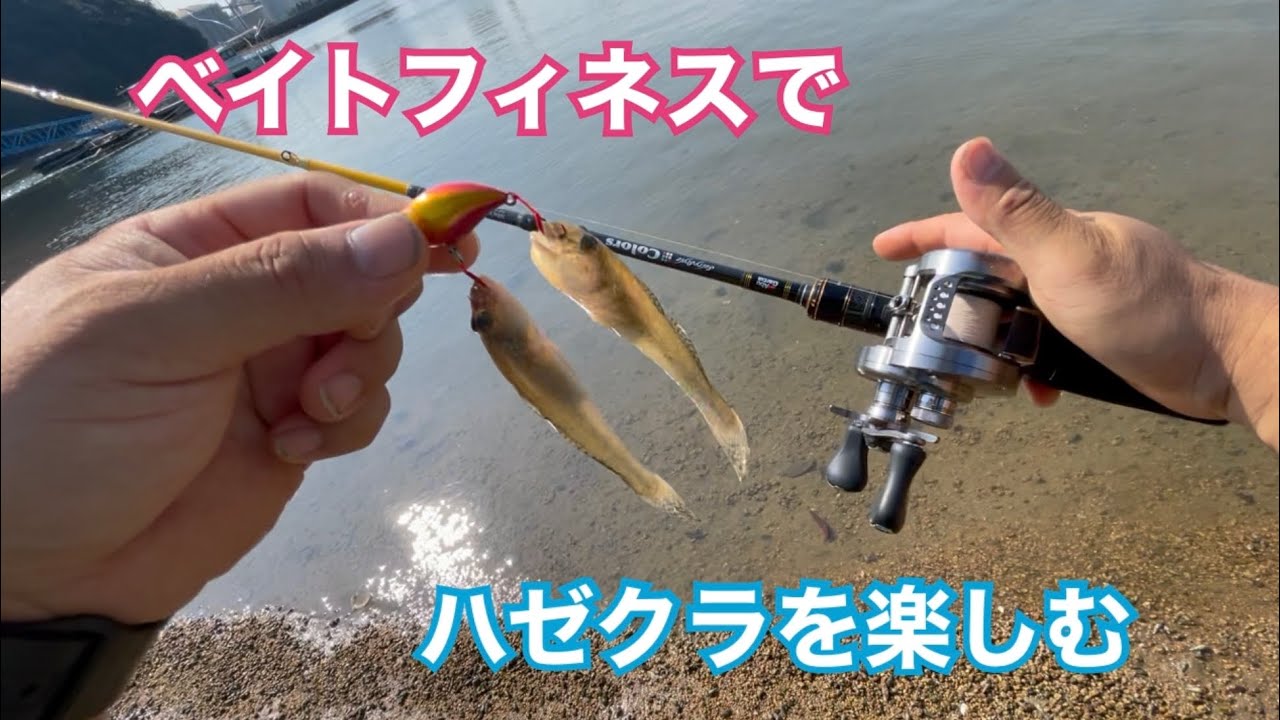 ベイトフィネスでハゼクラお気軽フィッシング【ハゼ】