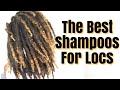 The Best Shampoos For Starter Locs| Loc Journey