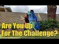 Hyeyeon&#39;s Eco-Choice | Are You Up for the Challenge?