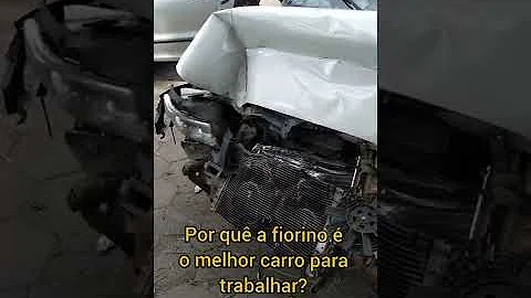Quando nacque il fiorino?