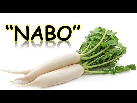 Vídeo: Nabo: Propiedades Y Usos útiles, Recetas