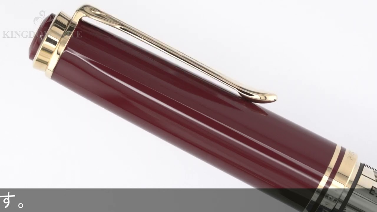 Pelikan ペリカン 万年筆 エキスポ 2000 ヒューマンカインド BB (PF