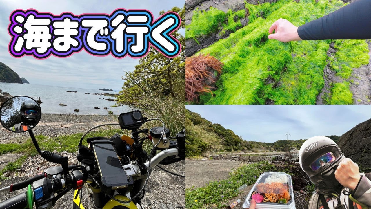 海に行って良心価格の弁当を食うツーリングっすよね