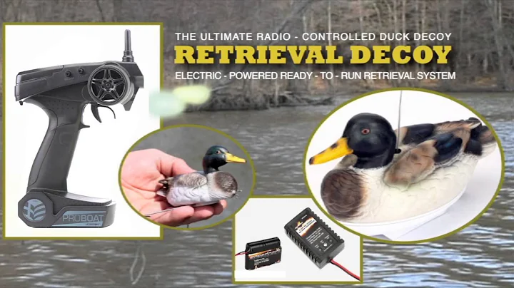 Retrieval Decoy 2.4 RTR by Pro Boat