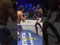 He Roared like a Lion 🙀 #shorts #mma