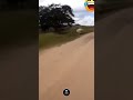 Owaaa!