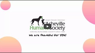 AHS is Thankful for YOU! by AshevilleHumane 258 views 6 years ago 1 minute, 1 second