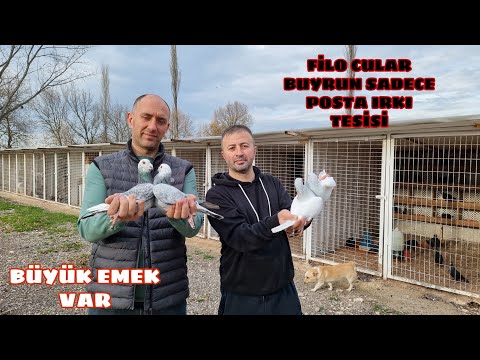 POSTA GÜVERCİN TESİSİ BÖLÜM  2