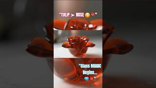 A Gl Tulip Just Turned Into A Rose And Its Beyond Beautiful