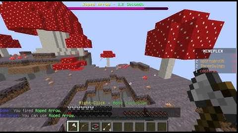 【Minecraft】Mineplex Hacker Report #40 - ThreeSwings