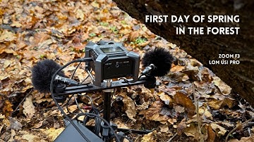 First Day of Spring in the Forest  -  FieldRecording - Zoom F3 and Lom Usi Pro #biosound