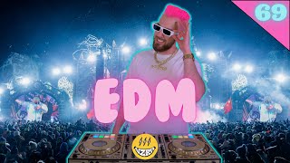 EDM Xmas Mix 2024 ??? | 69 | Lockdown, Dave Mak, Bonka | Best of EDM 2024 by DJ WZRD