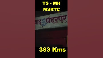 383 Kms MSRTC Bus #shorts