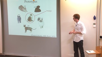 Evaluating Neural Network Representations Against Human Cognition