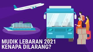 [INFOGRAFIS] Mudik Lebaran 2021, Kenapa Dilarang? Ini Kata Pemerintah