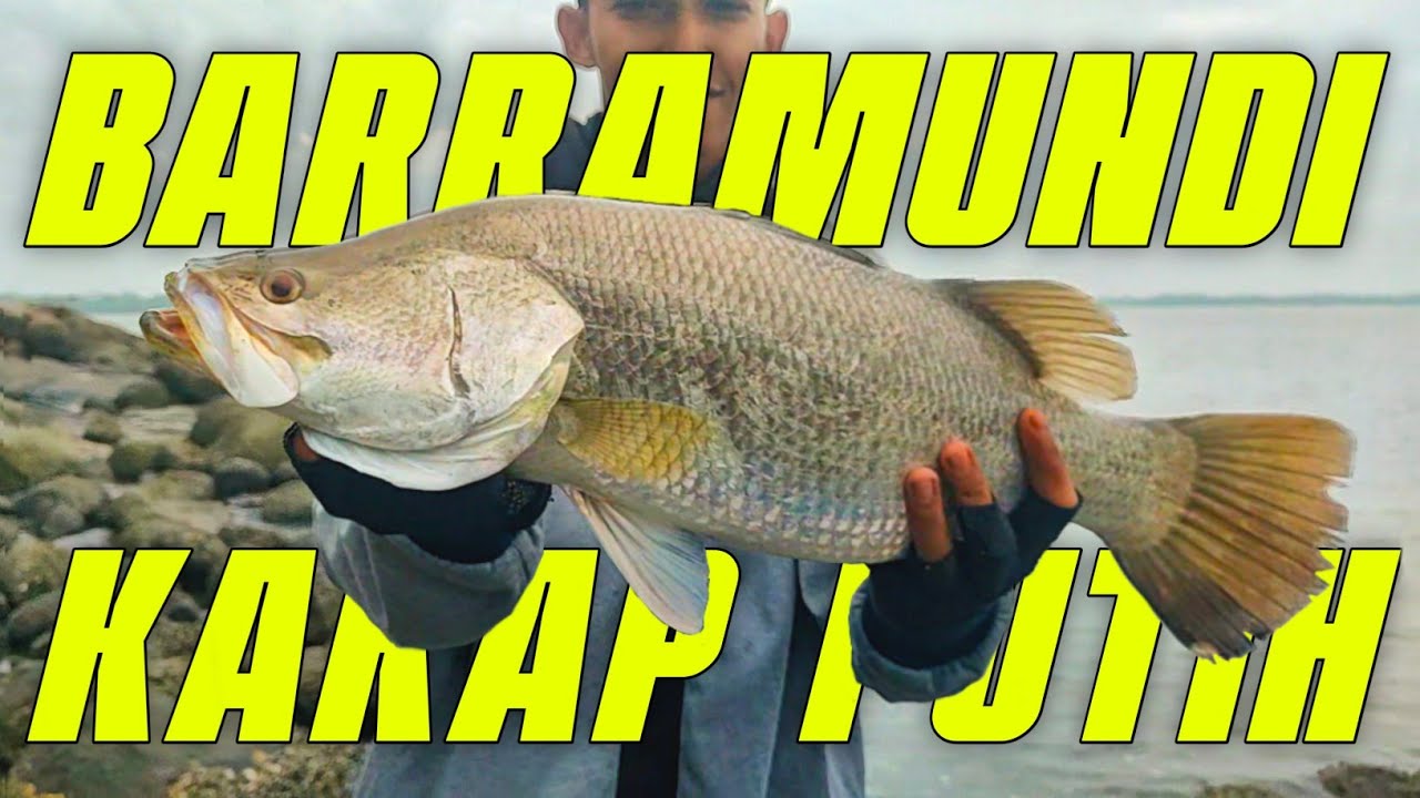 CASTING KAKAP PUTIH BABON! Lure Andalan Untuk Casting Siakap.