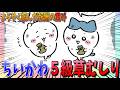 【ちいかわ】ちいかわが初めて５級エリアで草むしりをする！そしてその報酬の重みを実感…【最新話】