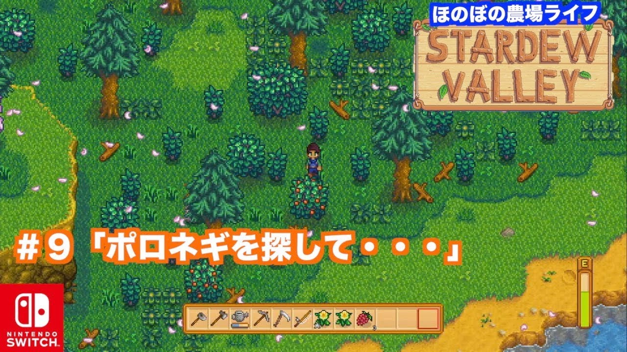 Switch スターデューバレー Stardewvalley ９ほのぼの農場ライフ 橋の修復 採取のパズル ポロネギを探して インディーズゲームnintendoswitch Youtube