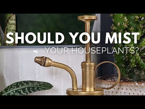 Video: De ce stropiți plantele cu apă?