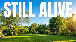BURNOUT SURVIVOR - STILL ALIVE