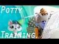 Lps potty training