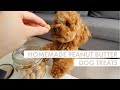 DIY DOG TREATS | 2 x Easy Peanut Butter Recipes | Bake & No Bake