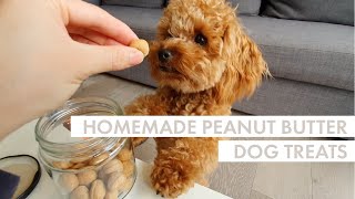 DIY DOG TREATS | 2 x Easy Peanut Butter Recipes | Bake \& No Bake